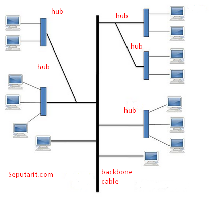 ini dia jenis dari jaringan topologi tree atau topologi pohon