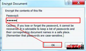 password di dokumen word
